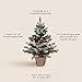 24 Inch 2 FT Pre-lit Snowy Mini Christmas Tree, DECSPAS Small Tabletop Flocked Christmas Tree with 20 LED Lights Red Berries Pine Cones and Cloth Bag Base Xmas Decorations for Holiday Party (Color A)