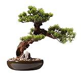 japanische kiefer bonsai kaufen Massivholz Wurzel Schnitzen mit klarer Textur und neuartiger Form