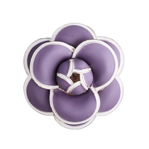 fGȃJAԃu[`ԃRT[WwƎaLO̓NX}XȂǂ̑蕨 MtgP[Xt ()