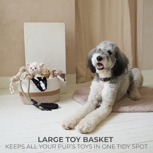 image for ZICOTO Stylish Cotton Rope Storage Basket For Dog Toys, Magazines or B