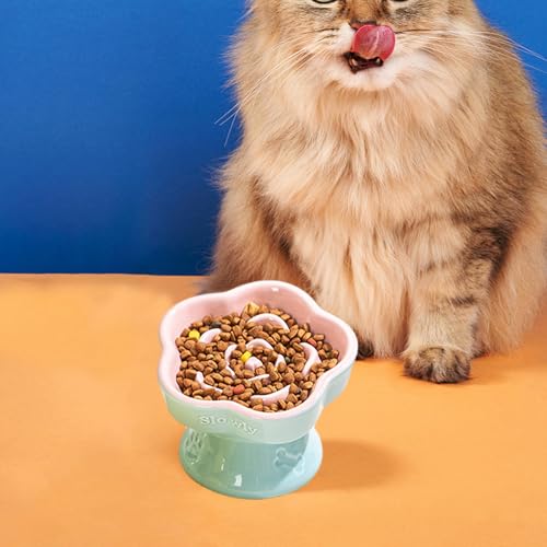 Gamelle pour chat inclinée et surélevée en céramique anti-glouton