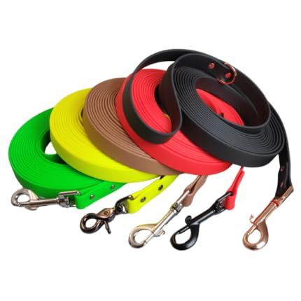 10m Schleppleine mit Handschlaufe | Extra Bequeme 19mm Breite für mittelgroße & große Hunde | weich + leicht zu säubern | Hundeleine mit 10 Meter Länge (Weiß - Gurtband)