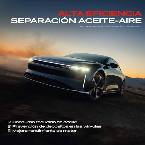 Separador de aceite contra humo negro compatible con Laguna Coupé 6