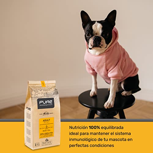 Avantis Pure Brave Mini, Futter für Erwachsene Hunde Kleiner Rassen, 2 kg, knuspriges und leicht zu kauendes Krokettenfutter, Huhn und Reis