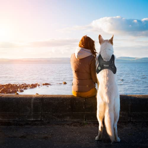 KIPPY - Pettorina ad H Cane Taglia Media con Tasca...