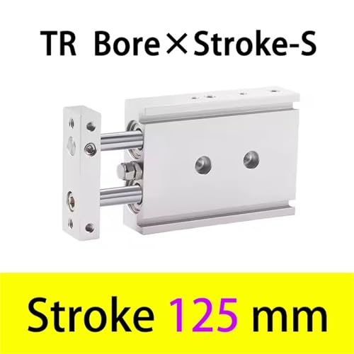 Cylindre pneumatique TR25 double axe rigide course de 125mm