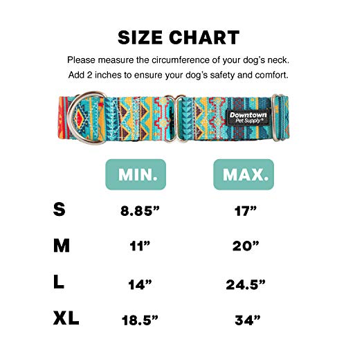 Downtown Pet Supply - Martingale Collar for Dogs - Dog Training Collar - Big, Wide & Thick Dog Collar - Escape-Proof… - Image 6