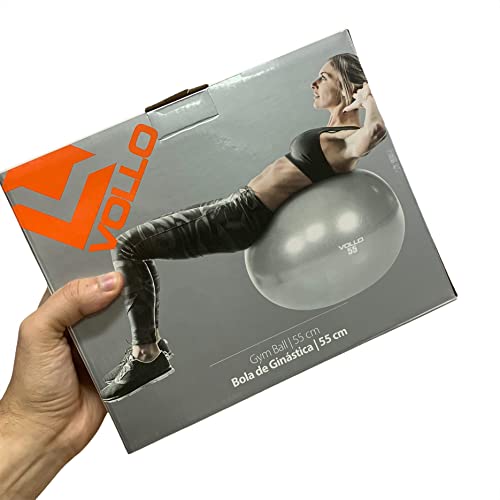 Bola de PIlates e Fisioterapia Pélvica Vollo VP1034 55cm Com Bomba