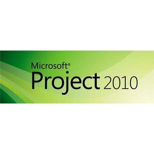 Microsoft Project 2010 - Das Handbuch