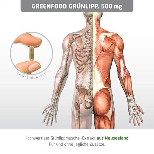 Grünlippmuschel, hochdosiert, 500 mg - 120 Kapseln. Reiner Grünlippmuschel-Extrakt. OHNE künstliche Zusätze, laborgeprüft. Von Greenfood.