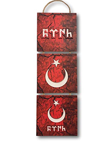 Gök-Türk Wandbild 'Ay Yildiz' Ertugrul Halbmond Stern Rot Bild für Wohnzimmer Büro Wohnung Deko Kunstdrucke