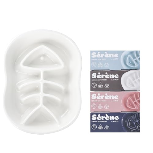 Petifam 퐻Hh~t[h{E Hh~M tBbV{[fUC dqWEH@Ή ybgpH 얞\h _CGbgH (zCg)