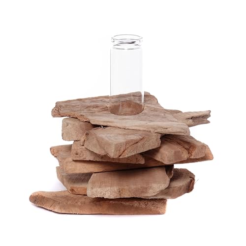 CREEDWOOD Vase en Bois Tiana | Bois flotté, 19x16cm | Bois flotté Réactif Vase en Verre, Vase de Fleurs, Branches Naturelles Décoration de Table, Vase de décoration