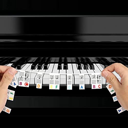 Lot de 88 étiquettes amovibles et réutilisables en silicone pour clavier de piano – Pour enfants et débutants – Arc-en-ciel - Les Beatles, Paul McCartney, John Lennon, RIngo Starr, George Harrison Lot de 88 étiquettes amovibles et réutilisables en silicone pour clavier de piano - Pour enfants et débutants - Arc-en-ciel