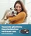 PetTec Halsband für große & kleine Hunde aus Trioflex™ | wetterfest & verstellbar in Farbe | Hundehalsband in Rot, Braun, Schwarz & Leuchtend Orange