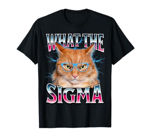 ERM, What The Sigma Meme Cat Y2K Ironic Brainrot T-Shirt