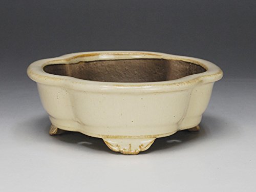 【高級盆栽鉢】陽明交趾 白交趾木瓜鉢 横幅40cm 大物・中品サイズ 陶器 Amazon | いよじ園 【盆栽鉢】 陽明交趾/木瓜鉢［白交跳］小品に最適な