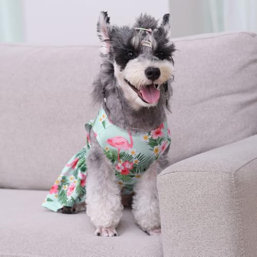 Image of CuteBone Dog Mesh Dress Puppy Sundress Pet Outfit Summer Fashion for Small Dogs Girl Cat Clothes