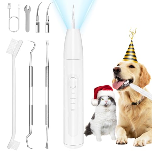 Image of Rarepet Dog Teeth Cleaning Kit with Light, USB Rechargeable Dogs Tooth Brushing Kit, 3 Modes Doggie Toothbrush, Dog Plaque and Tartar Remover for Teeth, Low Noise Dog Teeth Cleaner, Pure White
