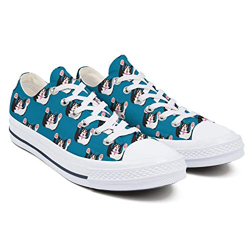 3PCtbV3052 1B 5mm 5mm 3inchvyZbgRCh[FPV[VOt[X^Ĉ܂悤Č݊(12Pairs Transparent)