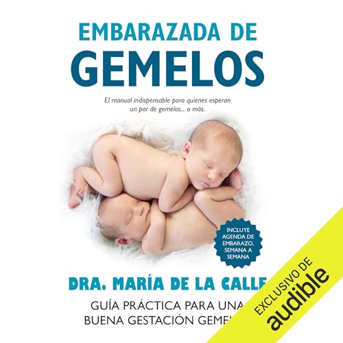 Embarazada de gemelos cover art