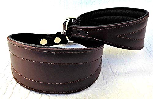 Greyhound Podenco Windhund - Halsband, Halsumfang 40-47 cm Leder °BRAUN°
