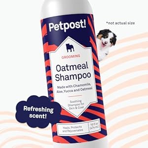 Petpost-Oatmeal-Chamomile-Shampoo-for-Dogs-with-Dry-Skin-Naturally-Heals-Protects-Rejuvenates-Dog-Skin-Coat-Oatmeal-Chamomile-Aloe-Yucca-Formula-16-oz - Cucciolini Doodles   Petpost-Oatmeal-Chamomile-Shampoo-for-Dogs-with-Dry-Skin-Naturally-Heals-Protects-Rejuvenates-Dog-Skin-Coat-Oatmeal-Chamomile-Aloe-Yucca-Formula-16-oz