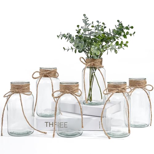 Vintage Glass Vases for Flowers, Set of 6 Clear Vases for Farmhou...
