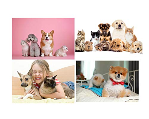 Furgopet Deshedder for Dogs & Cats - Image 6