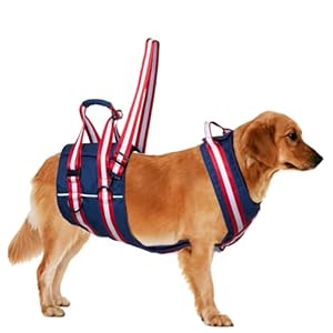 Duuclume Ganzkörper-Laufgeschirr mit Griff