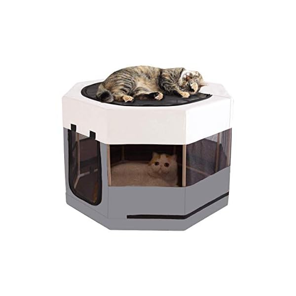 Meow&Woof Cat Playpen for Small Animals Wood Frame Cats Cage Indoor Kitten Crate Dog Play Pens for Puppy Large Size Sturdy Struction Long Lasting Use Meow&Woof Cat Playpen for Small Animals Wood Frame Cats Cage Indoor Kitten Crate Dog Play Pens for Puppy Large Size Sturdy Struction Long Lasting Use