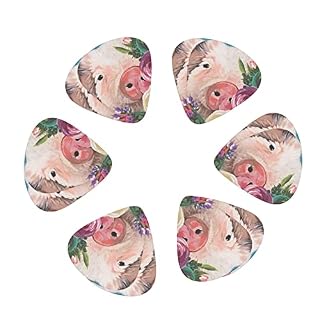 Médiators Guitare 12-Pack Peinture Fleur Cochon Médiators Pour Guitare Électrique Guitare Acoustique Diverses Guitares - Les Beatles, Paul McCartney, John Lennon, RIngo Starr, George Harrison