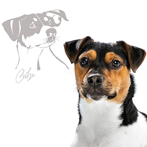 Klebe-X Rassehunde Autoaufkleber Hunde | große Motivauswahl | einfache Konfiguration Hund Autoaufkleber | Größe S