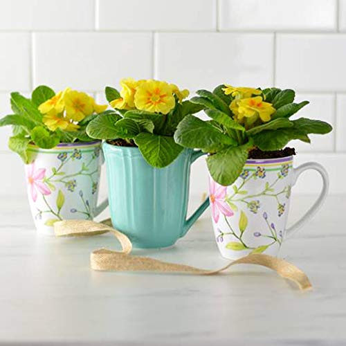 Euro Ceramica Charlotte Collection Stoneware, 16 Piece Dinnerware Set, Service For 4, Watercolor Floral Design In Multicolor White Pink #TOP7