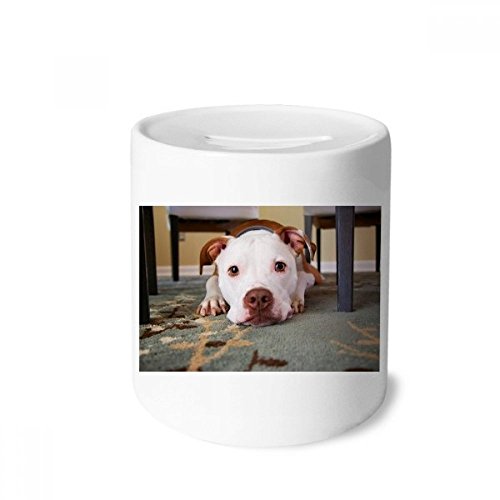 Tirelire bouledogue blanc céramique enfants boîte épargne monnaie multicolore