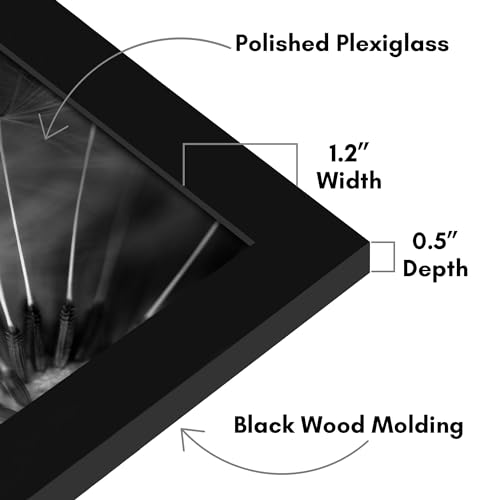 Americanflat 21x26 Picture Frame with Polished Plexiglass - Black Picture Frame - Wide Photo Frames Made of Engineered Wood for Vertical or Horizontal Wall Display - Epic Collection - Black