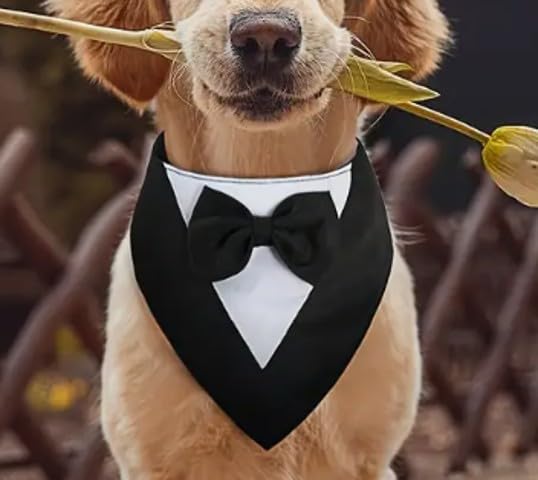 Smoking-Halstuch für Hunde – Eleganter Hundekragen für Hochzeit, Geburtstag & Fotoshooting – Verstellbarer Haustier-Schal im Anzugstil – Festliches Hundeaccessoire (Smoking Schwarz/Weiß, M)