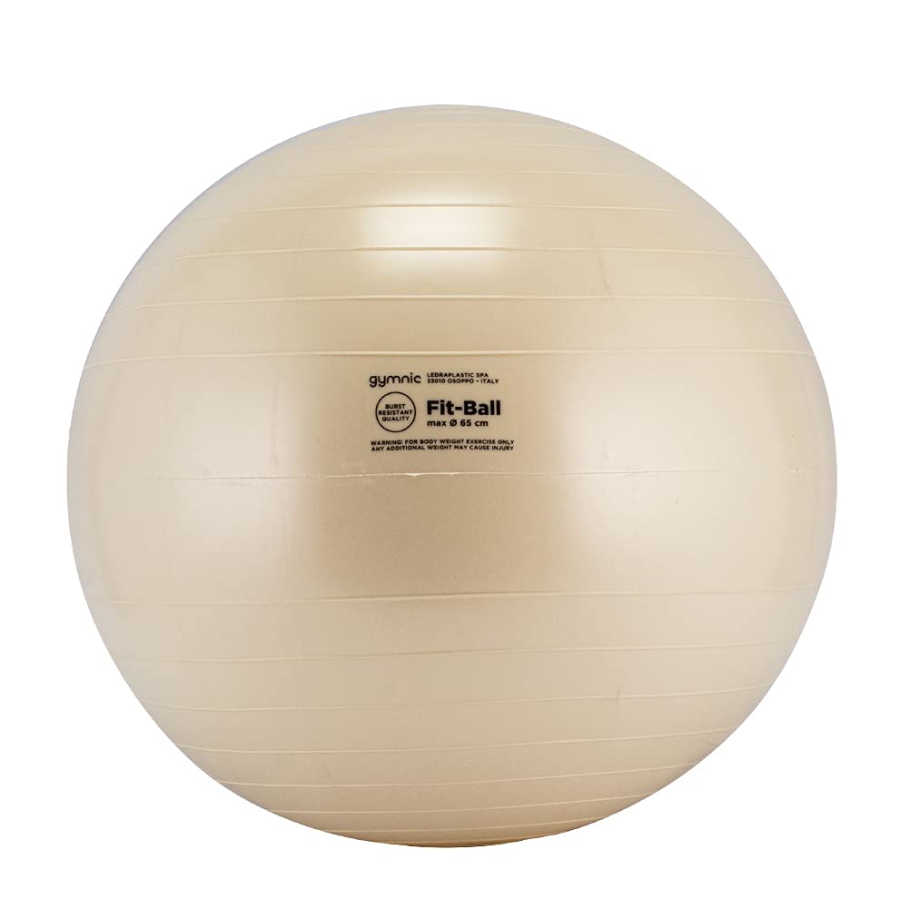 Amazon.co.jp: [ ギムニク ] Gymnic バランスボール 65cm フィット