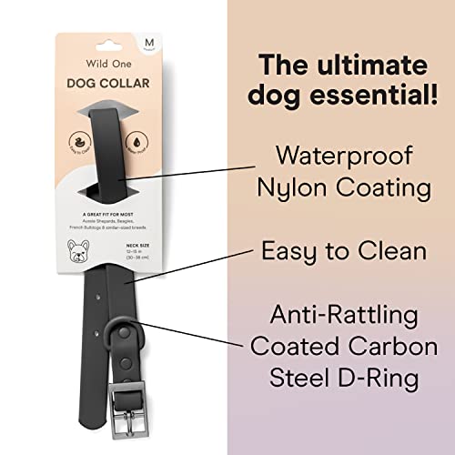 Collar para perro Wild One M negro resistente y fácil de limpiar miniatura 3