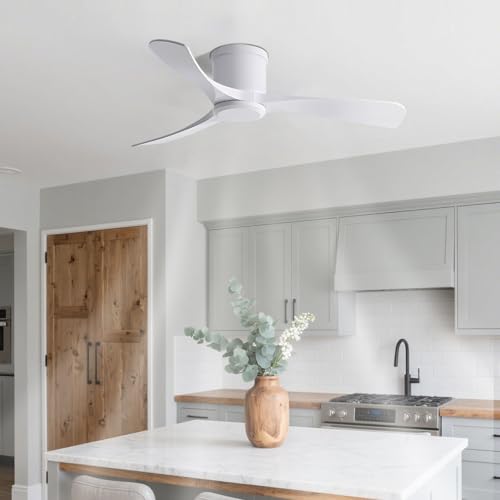 Ventilateur de plafond pour chambre sans lumière équipé d'une télécommande 6 vitesses