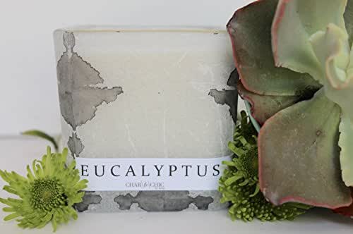 Amazon.com: Eucalyptus Mint | Natural Soy Candle | 12oz : Home & Kitchen