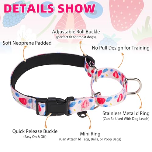 Image of Martingale Collar for Dogs for Small Medium Large Dogs, Soft Padded Nylon No Pull Dog Collar with Buckle, Adjustable No Slip Heavy Duty Durable Puppy Training Collar for Boys Girls, Pink L