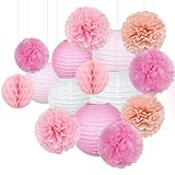15pcs Party-Decorations Paper-Flowers Lanterns Party Pack and Pom Pom Balls Hanging Decoration for Wedding Birthday Baby Shower-Bachelorette Bridal Wedding Engagement Supplies Decor