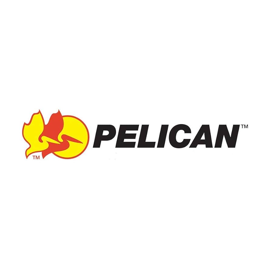 Amazon.com: Pelican 1560 2-Piece Foam Set (Black