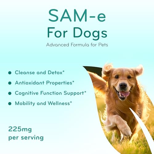 Image of Liver Support for Dogs with SAM-e - Chewable SAM-e for Dogs Bone Mood Brain and Liver Support Supplement with Easy Absorption 225mg S-Adenosyl-L-Methionine - Made in a cGMP US Lab (Single)