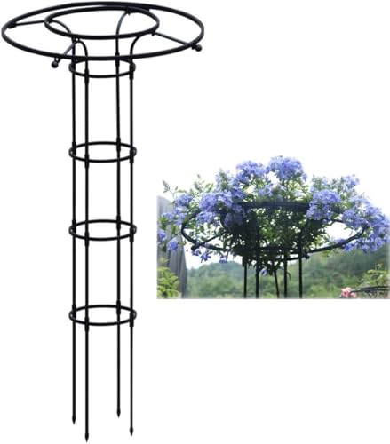 LKUOU Parapluie obélisque Jardin Escalade Plante Support,métal Plantes en Pot intérieur extérieur Fleurs légumes Fruits Vigne Support (Color : Black, Size :...