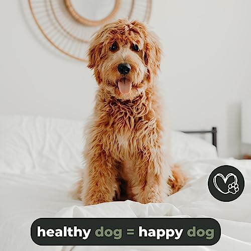 Grünschloss Hundekamm Unterwolle & Holz Katzenkamm Langhaar (3cm lange Zinken) - Entfilzungskamm für Hunde Unterwolle Rechenkamm (Made in Germany) - Knoten & Verfilzungen effektiv entfernen