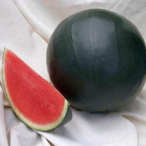Más de 30 sandías negras de belleza - Semillas de frutas.