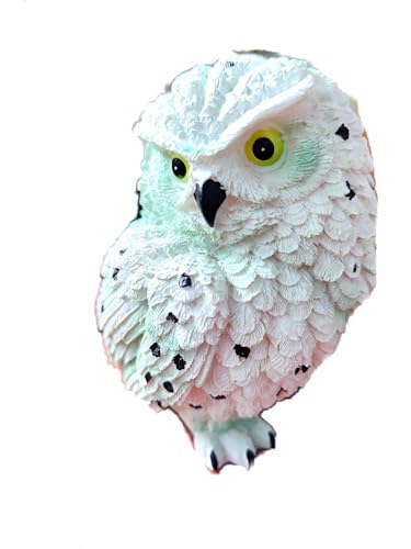 p Aj}IuWF K[f ANZT[  u ӂ₨ɂ (ӂ낤 zCg)