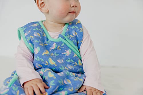 Image of Copper Pearl Baby Sleep Sack, Birdie - Wearable Blanket for 18-24 Month, Sleeveless Sleep Sack for Baby Boy or Girl